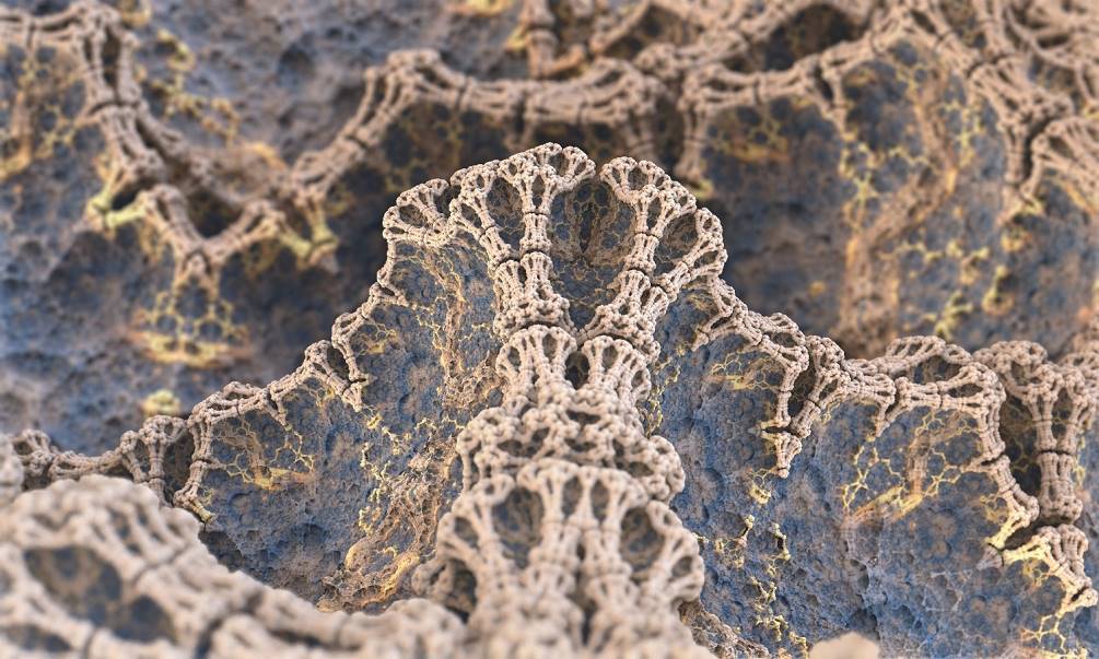 Inside Old Petri Dish