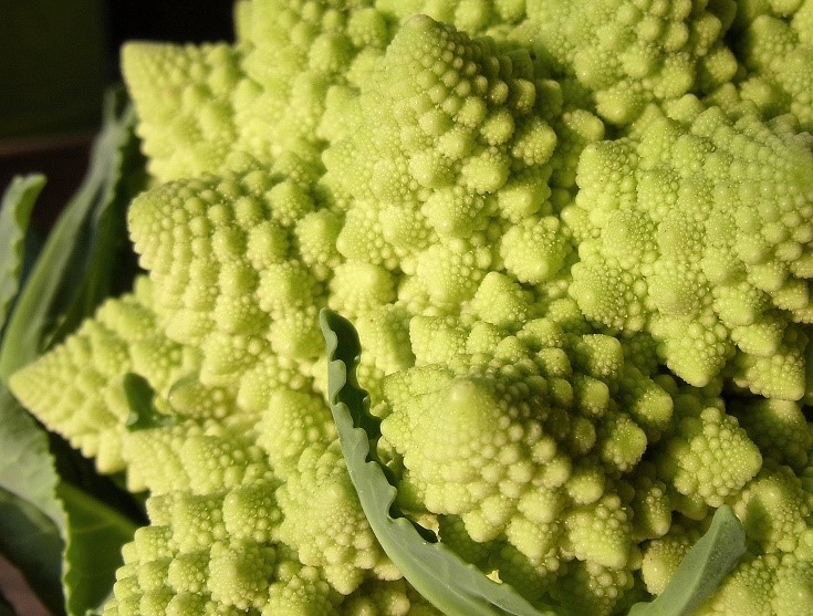 Romanesco Romanesco